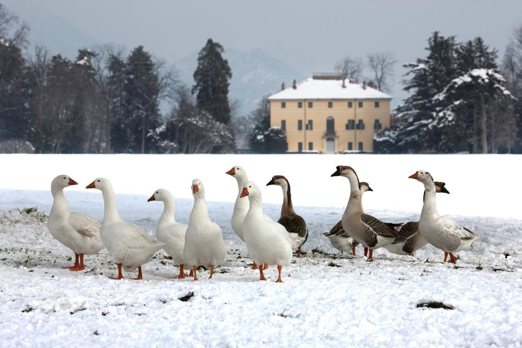 Agriturismo Il Torrione Pinerolo Dış mekan fotoğraf
